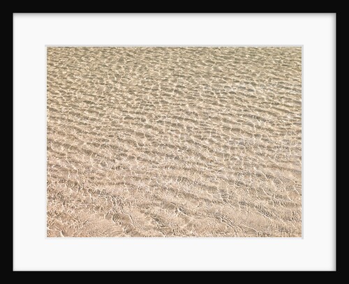 Shallow water on beach by Assaf Frank